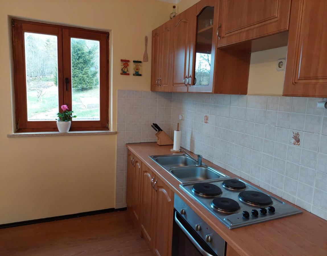 Holiday Home Cancarevic Ravna Gora Exterior foto